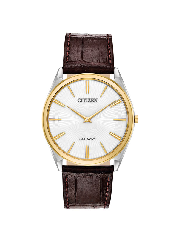 CITIZEN ECO-DRIVE AR3074-03A