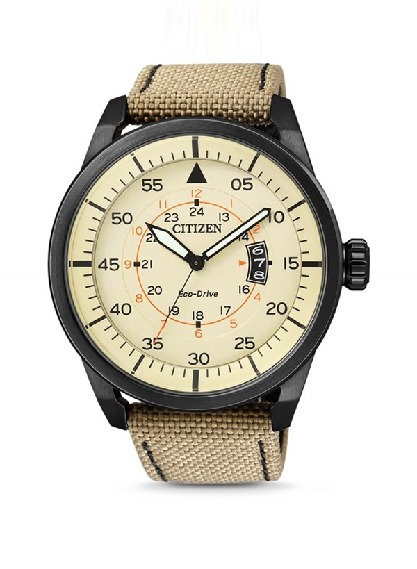 CITIZEN AW1365-19P