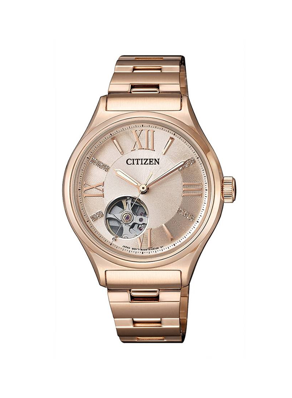 CITIZEN PC1003-58X